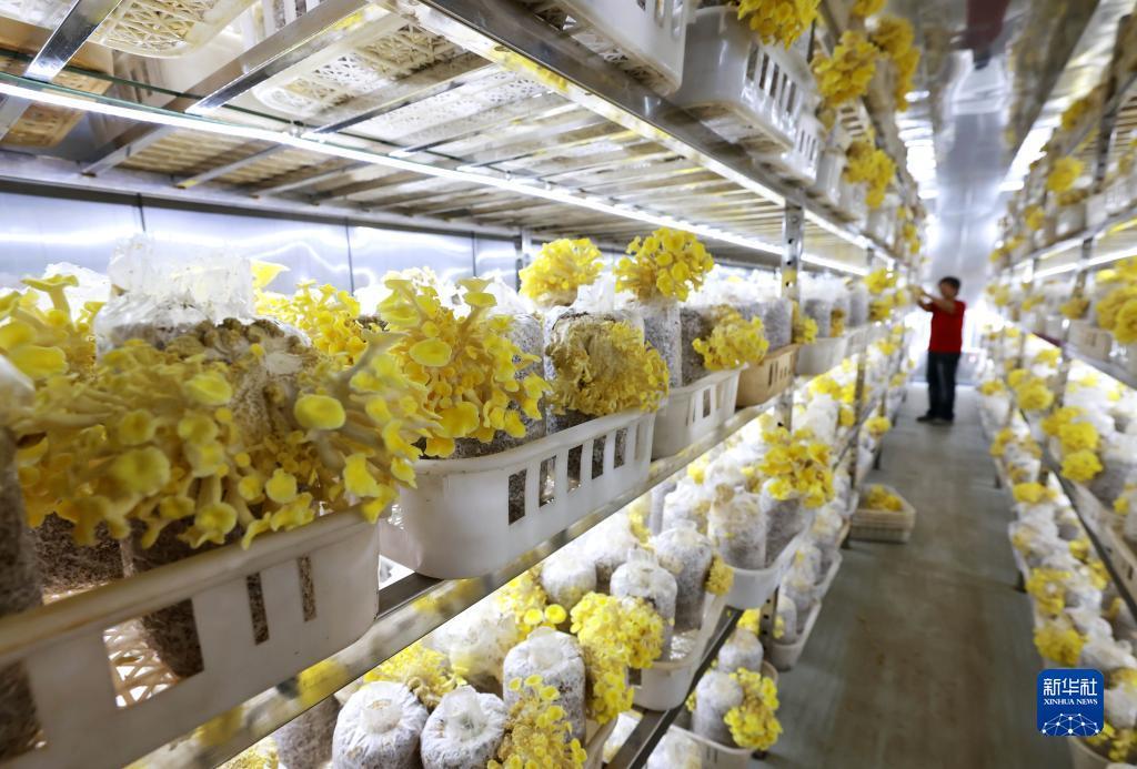 十大网赌网址登陆